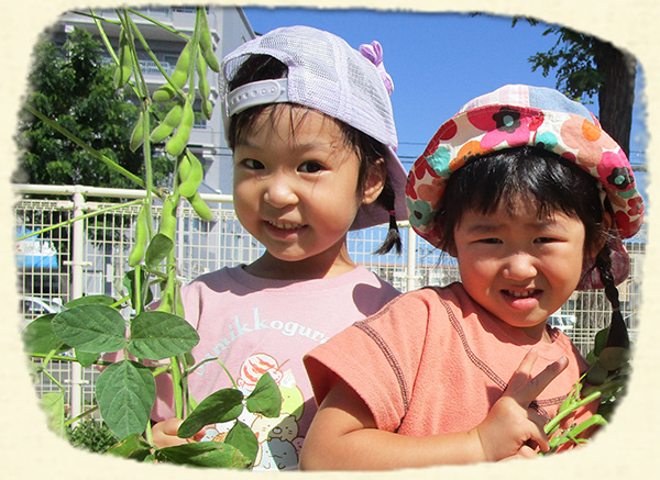 畑で野菜作り